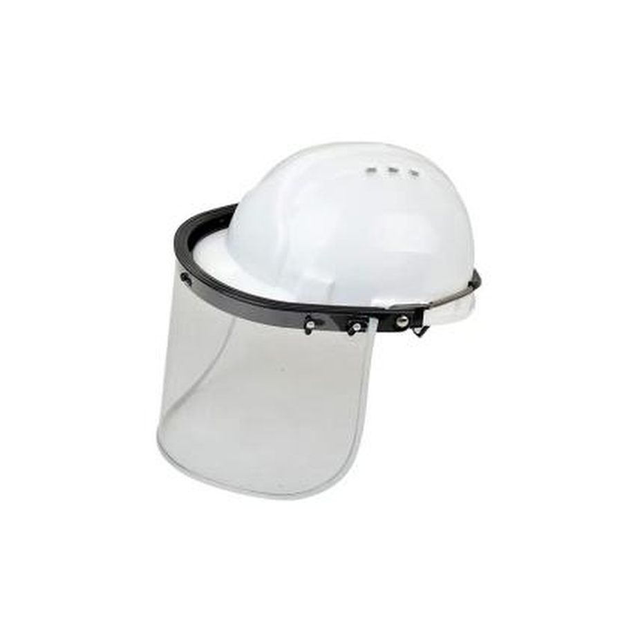 Safety Helmet with Face Shield