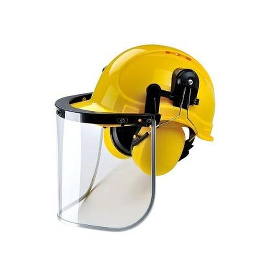 Safety Helmet with Earmuffs